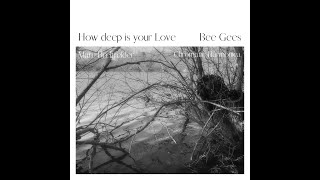 How deep is your love - Bee Gees (Marc Breitfelder)