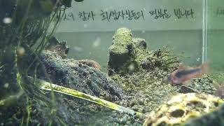 [1029참사 추모 어항방송] Aquarium Live - 2023.01.20 Fri KST