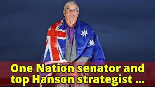 One Nation senator and top Hanson strategist misled Parliament: investigation