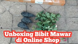 Unboxing bunga mawar murah di online shop | review bunga mawar murah 5000 #berkebundirumah