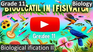 Grade 11 | Biology | Biological ification II | Free Tutorial | CBSE | ICSE | State Board