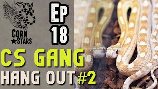 CS Gang Hangout #2 | CornStars Ep. 18