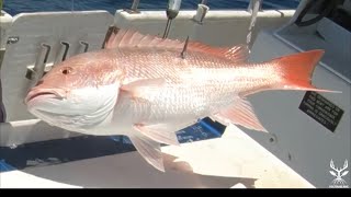 Red Snapper Catch & Cook {Coconut Crusted Snapper over Red Curry and Coconut Rice}