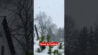 Snow is coming #everyoneeverywhere #shortsvideo #trending