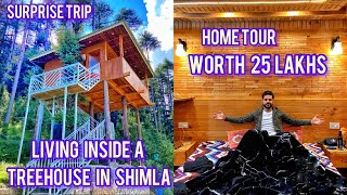 SHIMLA | BEST PLACE TO STAY | Part-1 | 25 lakhs Tree-house | Himachal Pradesh