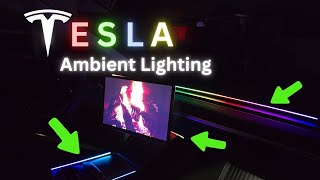 The BEST Tesla ambient lighting kit! Super easy to install | Hansshow