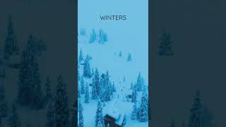 Snowing | Seasons | Nature Enthusiast | #shorts #asmr #oddlysatisfying