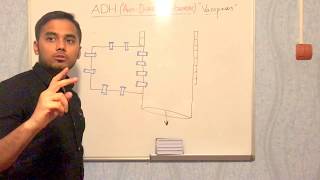 ANTI-DIURETIC HORMONE /VASOPRESSIN