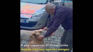 La carnicería más famosa del mundo ✨💖✅🐕