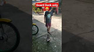 My Guard Duck protects me all the time😂😁#aquafishzone #trendingvideo  #trendingshorts #viralshorts