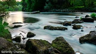 Serenity Zen - 30 minutes - Rest Time and Calm Music - Wellness Series -#sleepmusic #calmmusic #calm