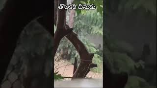 Hyderabad లో కురిసిన తొలకరి వాన #1stRain #Rain #Hyderabad #తొలకరి #జల్లు #Varsham #Gracywings