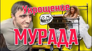 Мурад Строптивый | Укрощение Строптивого