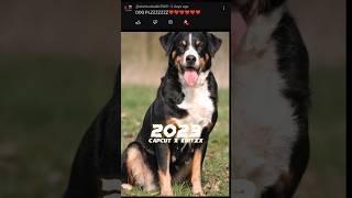 2023 Dog 🐕🐕 vs 5000 bce Dog 🐕🐕 #viral #shorts