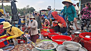 64 : Bất ngờ kiểu mua bán ở cảng Vàm Láng Gò Công