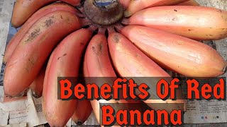 7 Benefits Of Red Banana | 6 PM RANDOM FACTS