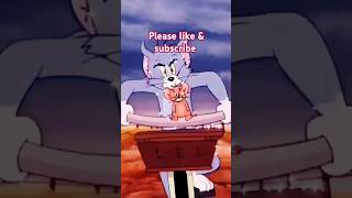 Tom and jerry friendship clips|#funny #cartoon #shortsfeed #shorts #shortsviral