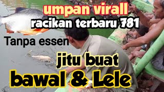 No hoax banyak terbukti !! Umpan paling jitu bawal dan lele galatama