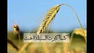 النفس البشرية وكيف خاطبها القران الكريم,..برنامج القران الكريم والاعلام د.فتحي حسين