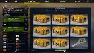 CS:GO 21 Gamma Case Opening With Bravo Case