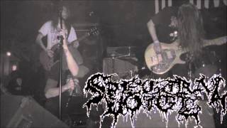 Spectral Voice - For Whom The Bell Tolls