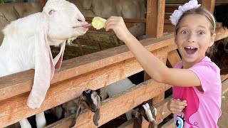 Sofia and her family visit a sheep farm