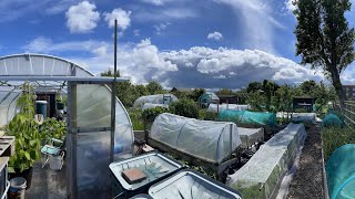 Why are polytunnels so special?