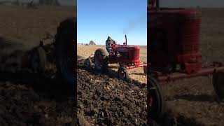 Farmall MD at our plowday