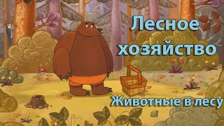 Мультик про лесных животных (лесное хозяйство) - развивалка для детей