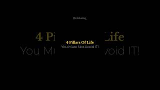 4 Pillars Of Life 📊🤯 #wealth #relationship #bonding #ytshort