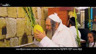 הרב שלום ארוש - מנענע את ארבעת המינים