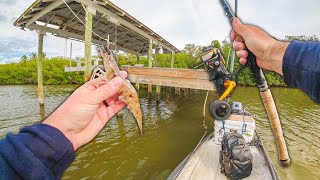 Fishing Florida Waters with Live Shrimp + Big Changes Coming!