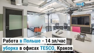 Работа в Польше - 14 зл/час: уборка в офисах TESCO, Краков