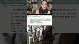 Aisha's homework (Qran) eaten by sheep -OH NO! -The Cur'an is "perfectly preserved" in a goat's A$$