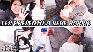 MI VIDA EN USA 🇺🇸| Les presento a bebe Harris ,y cual es su nombre ,cambios en casa