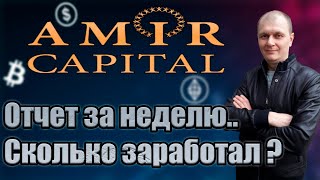 Amir Capital недельный отчет, сколько удалось заработать?