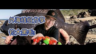 干货分享 什么样的线组上大黑毛！外海大鱼就靠它 #Sydney Fishing