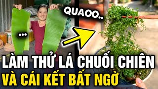 Thấy bên Thái đang rộ lên món LÁ CHUỐI CHIÊN GIÒN, cô gái làm thử và CÁI KẾT BẤT NGỜ | Tin 3 Phút