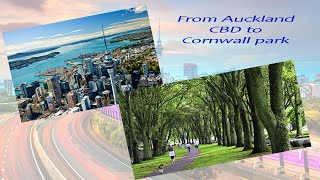 Driving from Auckland CBD to Cornwall Park 4k (New Zealand)