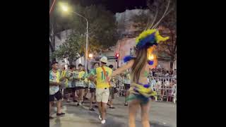 Brazil: A Journey of Rhythm, Nature, and Passion #travel #carnavalvibe  #shorts #riolife #sambadrome