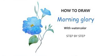 DD Art | How to draw morning glory / bindweed / hoa bìm bìm with watercolor easily | Step by step