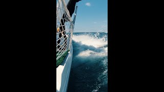 Sailing Across the Gulf of Mexico, Not Sure #shorts #sailing