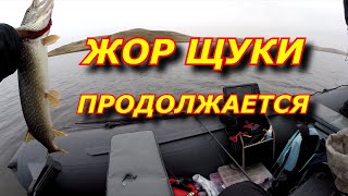 ЩУКА. ОСЕННИЙ ЖОР !!!  Поклёвки на каждом забросе / День 2-ой