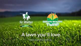 Sir Walter TV Advert - Tagged for Down South Turf