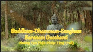 (Pali) Quy Y PhậtPhápTăng-Buddham Saranam Gacchami-Dhammam Saranam Gacchami-Sangham Saranam Gacchami