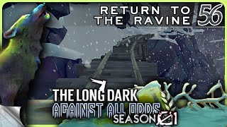 THE LONG DARK — Against All Odds 56 [S01]: Return to the Ravine | Tales Update 4 Stalker+ [4K]