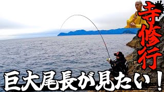 【尾鷲・解禁磯】今シーズンもついに解禁したデカバン尾長グレの名礁・寺島にアタック！！