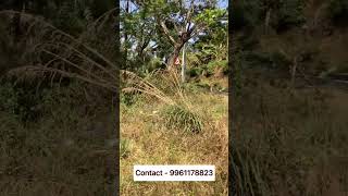 Highway side land for sale in Vagamon | #shorts #vagamonrealestate