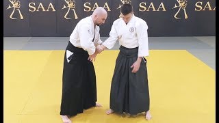 Key Problem in Aikido Practice ❗ Attack Imitation