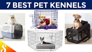 7 Best Pets Carriers in affordable Price | Effortlessly Carry Your Heavy Pets